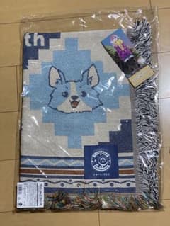 おまけ付き】ゆるキャン△10周年展 「こうするとぬくいですぞ