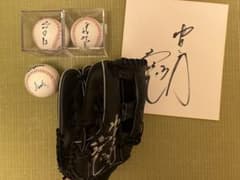 m31887641638_1.jpg?1738929928