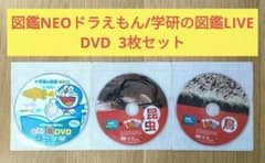 m44616873027_1.jpg?1720440057