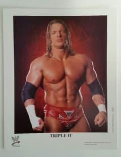 WWE トリプルH ポートレート - メルカリ