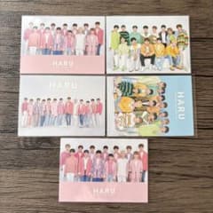 SEVENTEEN HARU トレカファイル 限定トレカ No.131 - メルカリ