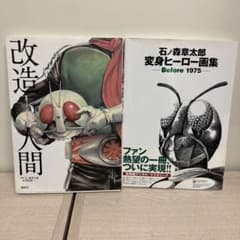 m40255104695_1.jpg?1746179942