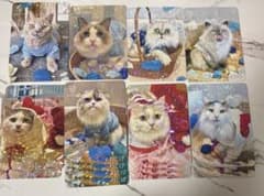 猫カフェmocha にゃんずトレカ レイクタウン - メルカリ