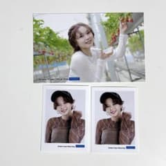 BEYOOOOONDS 平井美葉 ハロプロ コレクション ミニミニ生写真 チェキ