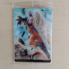 m57969098251_1.jpg?1720235415