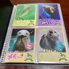 m59592702539_1.jpg?1747105895