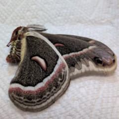 m65697678036_1.jpg?1766395024