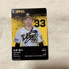 m86441434046_1.jpg?1728466324