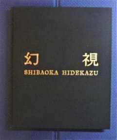 500部私家本○テストショットポラロイド（サイン付き）等付属】「幻視