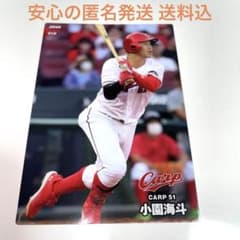 m90968568243_1.jpg?1715007327