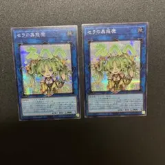 2026年最新】セラの蟲惑魔 シークレットの人気アイテム - メルカリ