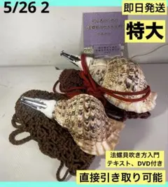 2026年最新】法螺貝袋の人気アイテム - メルカリ