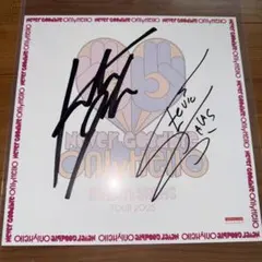 2026年最新】イナバサラス サインの人気アイテム - メルカリ