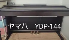 2026年最新】YDP_144の人気アイテム - メルカリ