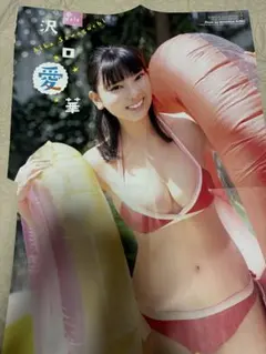 2026年最新】沢口愛華等身大ポスターの人気アイテム - メルカリ