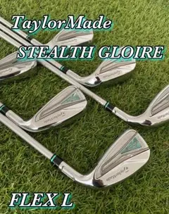 2026年最新】ステルスグローレ アイアン レディースの人気アイテム