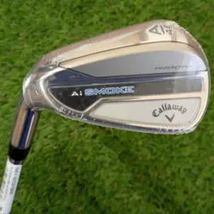 2026年最新】パラダイム アイアン レフティの人気アイテム - メルカリ