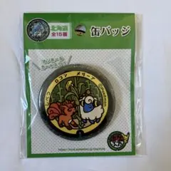 2026年最新】ポケふた 缶バッジの人気アイテム - メルカリ