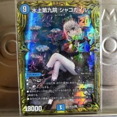 2026年最新】シャコガイルbの人気アイテム - メルカリ