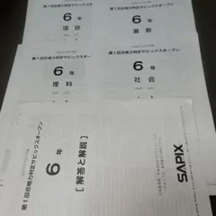 2026年最新】サピックスオープン 6年の人気アイテム - メルカリ