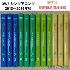 2026年最新】シングアロング dvd 12の人気アイテム - メルカリ
