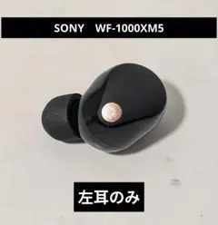 2026年最新】SONY wf-1000xm5 右耳の人気アイテム - メルカリ