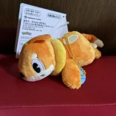 2026年最新】ブイゼル ぬいぐるみの人気アイテム - メルカリ