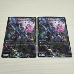 2026年最新】デドダム csプロモの人気アイテム - メルカリ