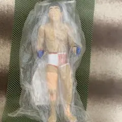 2026年最新】桜庭和志 フィギュアの人気アイテム - メルカリ