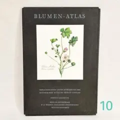 2026年最新】elsa felskoの人気アイテム - メルカリ