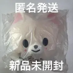 2026年最新】SKzoo クッション アイエンの人気アイテム - メルカリ