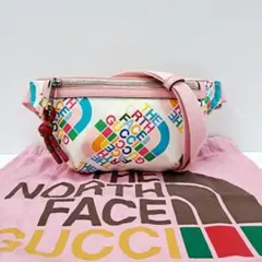 2026年最新】north face gucci バッグの人気アイテム - メルカリ