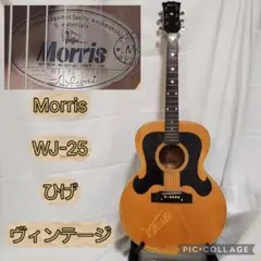 2026年最新】MORRIS F 25の人気アイテム - メルカリ