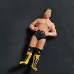 2026年最新】天龍源一郎の人気アイテム - メルカリ