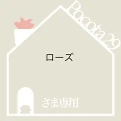 多肉植物 エケベリア 青典牡丹 オーズさん苗 札付き - メルカリ