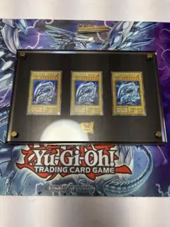 2026年最新】海馬セット ディスプレイの人気アイテム - メルカリ