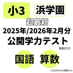 2026年最新】浜学園 小3 復習テストの人気アイテム - メルカリ