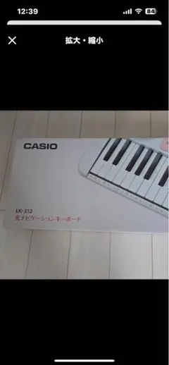 2026年最新】CASIO LK-301の人気アイテム - メルカリ