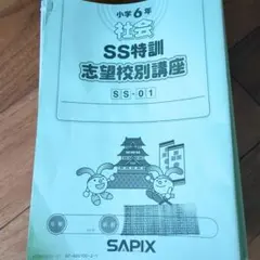2026年最新】SS特訓の人気アイテム - メルカリ