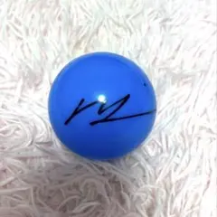 2026年最新】サインボール zb1の人気アイテム - メルカリ