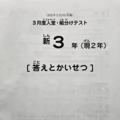 2026年最新】sapix 入室テスト 新2年の人気アイテム - メルカリ