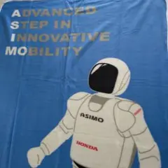 2026年最新】ASIMO ビッグ・フリースブランケットの人気アイテム