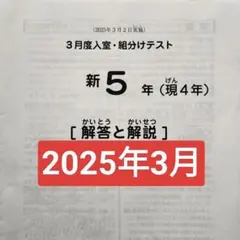 2026年最新】sapix 組分けテスト 新5年の人気アイテム - メルカリ