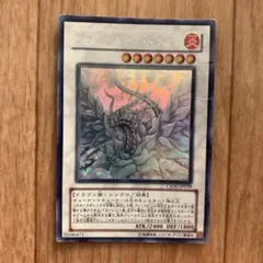 2026年最新】ブラック・ローズ・ドラゴン ホロの人気アイテム - メルカリ