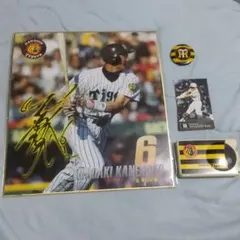 2026年最新】金本知憲 サイン色紙の人気アイテム - メルカリ