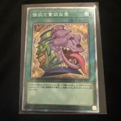 2026年最新】強欲で貪欲な壺 25の人気アイテム - メルカリ