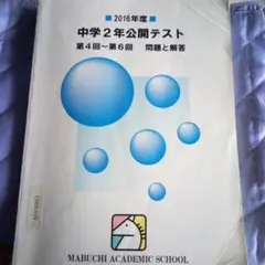 2026年最新】馬渕 公開テスト 中2の人気アイテム - メルカリ