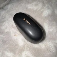 2026年最新】sony wf-1000xm5 ケースのみの人気アイテム - メルカリ