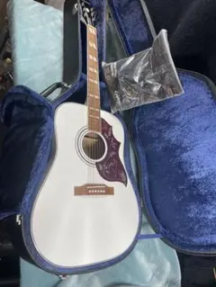 2026年最新】エピフォンハミングバードの人気アイテム - メルカリ