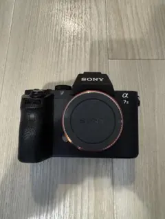 2026年最新】sony α7IIの人気アイテム - メルカリ